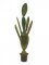 Kaktus Opuncie, 130 cm - poškozeno (82600065)