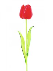 Tulipán červený – křišťálový, 61 cm, 12 ks