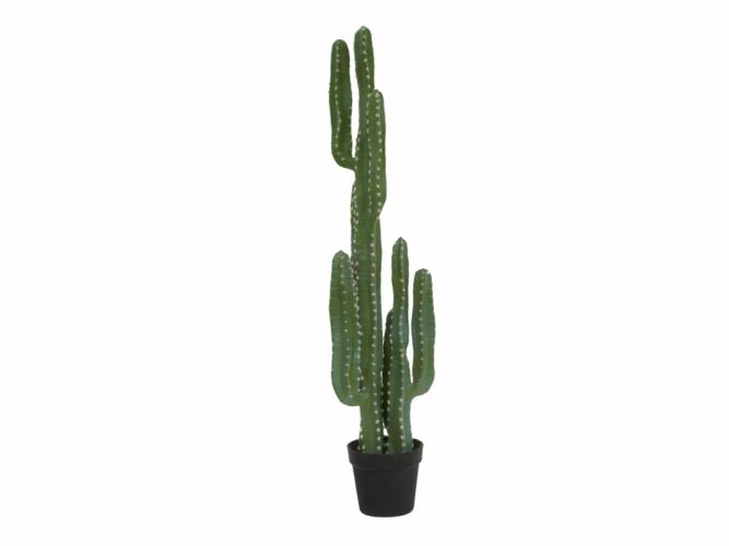 Mexický kaktus zelený, 123 cm