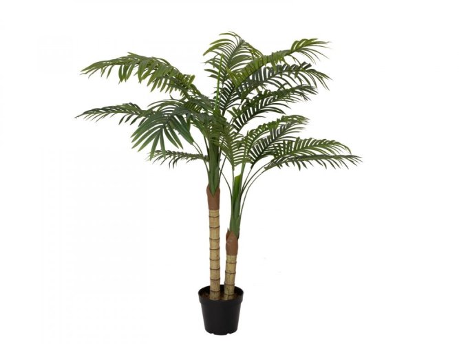Palma Areca, 2 kmeny, 120 cm