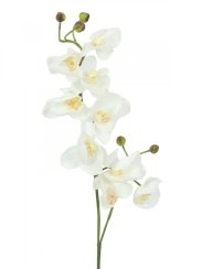 Orchidej větvička, krémově-bílá, 100 cm