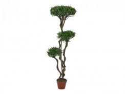 Bonsai stromek, vícekmenný, 130cm - rozbaleno (82511510)