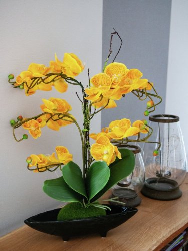 Orchidej aranžmá s květináči, žlutá, 60 cm.