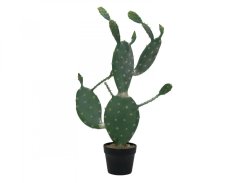 Kaktus Nopal, 76cm