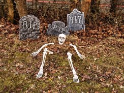 Halloween lebka a končetiny kostlivce