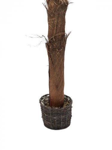 Phoenix palma s umělohmotným kmenem, 210cm - použito (82509742)