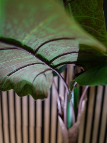 Taro Alocasia, umělá rostlina, 140cm