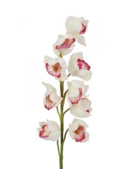 Orchidej větvička, bílo-růžová, 90 cm