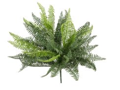 FIRESILX Volánková kapradina trs, 38 cm