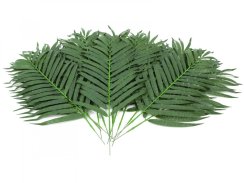 Kokosový palmový list krátký, 80 cm, 12 ks