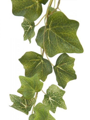 Girlanda z břečťanu zelená, 183 cm