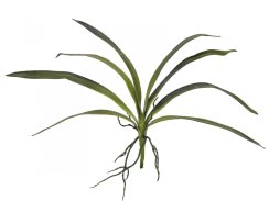 Orchidej listy, zelené, 45 cm